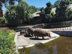 -济南野生动物世界