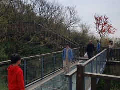 -月亮湾风景点