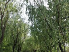 -太阳宫公园