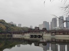 -重庆彩云湖湿地公园