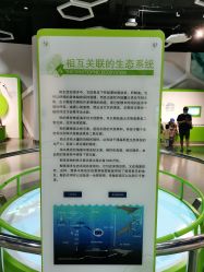 -北京科学中心儿童乐园