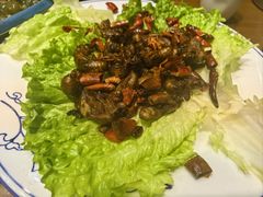 -煎饼卷大葱(春秋西路店)