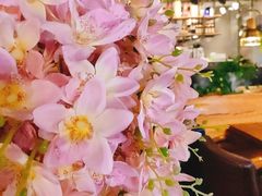 -LYFATTI 莱芙缇(赣水路店)