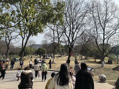 -南京市江宁方山
