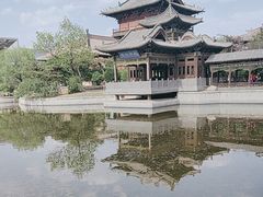 -善化寺