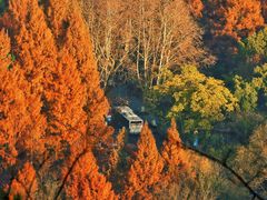 -九曜山