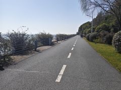 -贡湖湾湿地公园