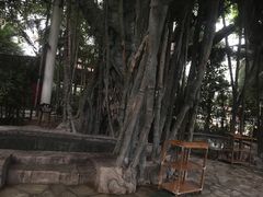 -龙达温泉生态城