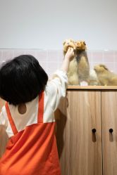 -Moni星球萌宠·小马宝莉·灵蛇·高端高阶全萌宠互动体验俱乐部(红豆国际广场店)