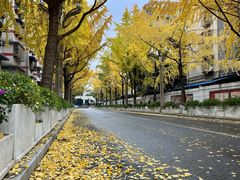 -四川大学(望江校区)