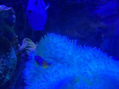 -太平洋海底世界