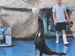 -泉州海丝野生动物世界