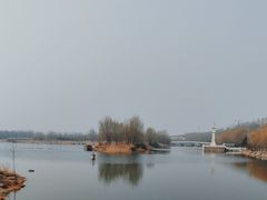 -马家湾湿地公园
