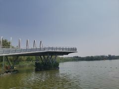 -大兴滨河森林公园