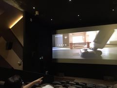-英皇电影城(平安金融中心IMAX激光店)