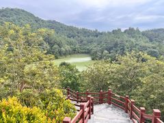 -广州白江湖森林公园