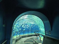 -上海海洋水族馆