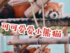 -无锡动物园·太湖欢乐园