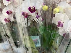 -合肥蜀山万象汇