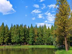 -黄海国家森林公园