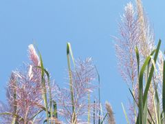 -明月山天沐温泉度假村