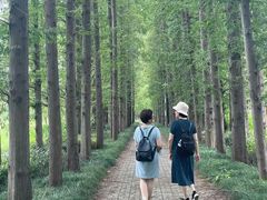 -金岛生态园烧烤露营地