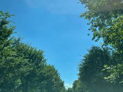 -天目湖松岭竹海漂流