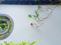 -深圳国际园林花卉博览园