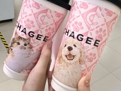 -砂之船奥特莱斯(合肥店)