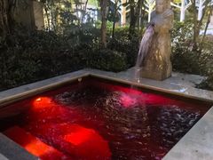 -苏州湾·王焰温泉