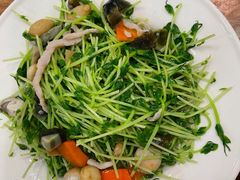 上汤菜苗-花溪雨·森林餐厅(石基店)
