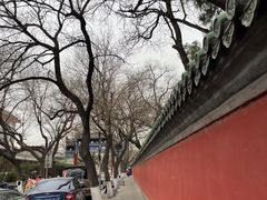 -北京国子监胡同