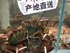 -超级物种·波龙工坊(国贸店)