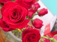 -横店电影城横影巨幕S-PLUS(港悦广场店)