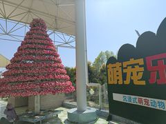 -百万葵园
