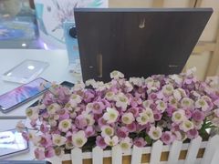 -ASUS华硕电脑阳天(百脑汇店)