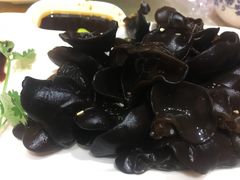 拌木耳-蝎梁府(青年沟店)