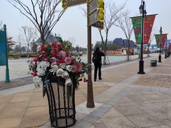 -荷兰花海
