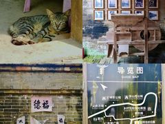 -苏家围·东江画廊旅游景区