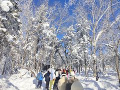 -雪谷