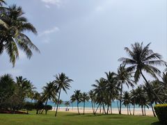 -清水湾旅游度假区