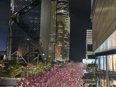 -深圳湾万象城(南山店)