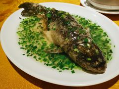 葱油鱼-粤北餐馆