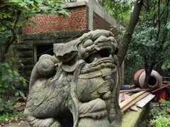 -南山植物园