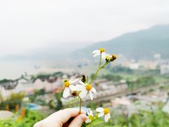 -美心红酒小镇游乐园