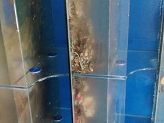 -宾朋海鲜特色美食餐厅·纯手工鲅鱼水饺(兴海路店)