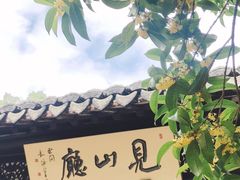 -上海醉白池公园