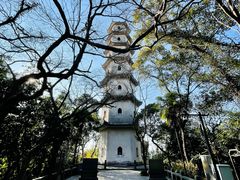 -江心屿景区