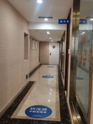 -碧莲盛·不剃发植发