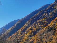-叠溪松坪沟景区